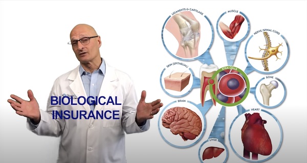 stem cell insurance