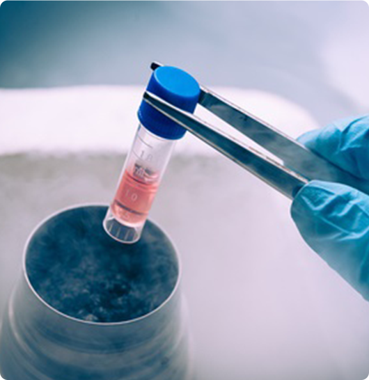 cryopreserving stem cells