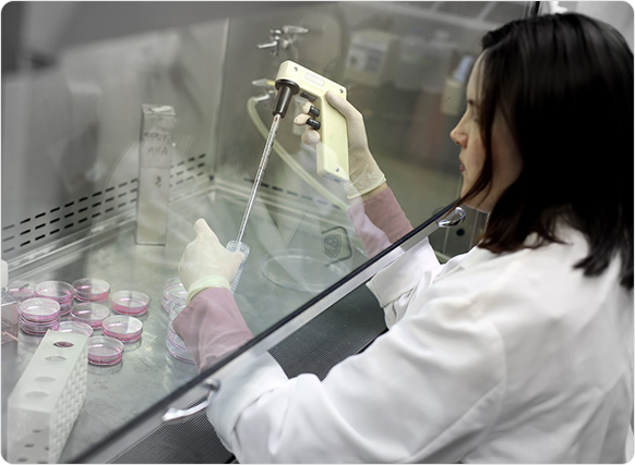 stem cell science