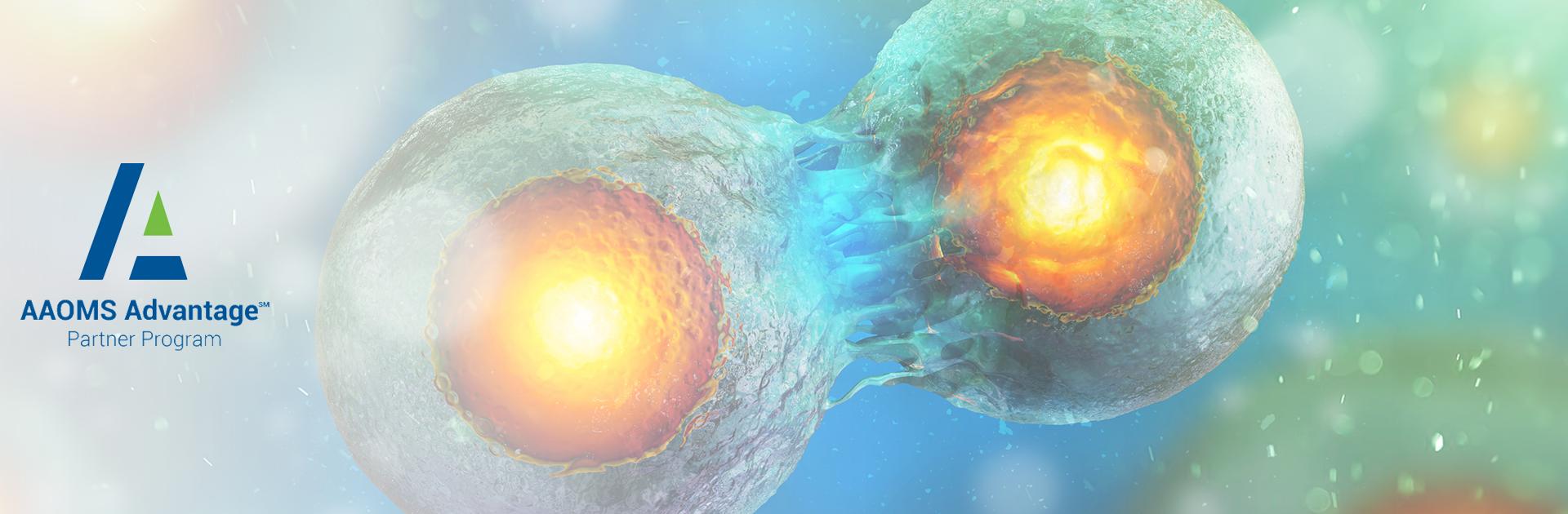stem cells regenerating